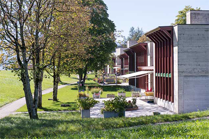 Stiftung Rütimattli